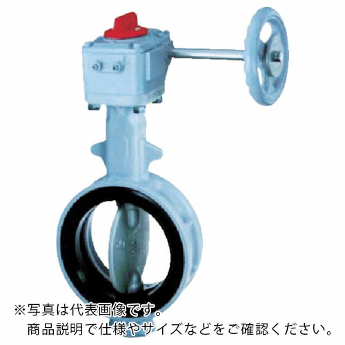 巴 ( 巴バルブ ) 700G-2U JIS10K FCD450/SCS14/NBR 250A ( 700G-2U-250-S-N )