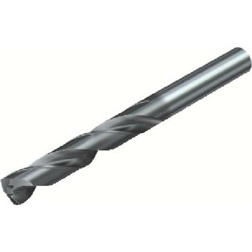SANDVIK ( サンドビック ) コロドリル460 超硬ソリッドドリル(722) GC34 ( 460.1-0330-025A1-XM GC34 (722) ) その他-花・ガーデン・DIY-DIY・工具