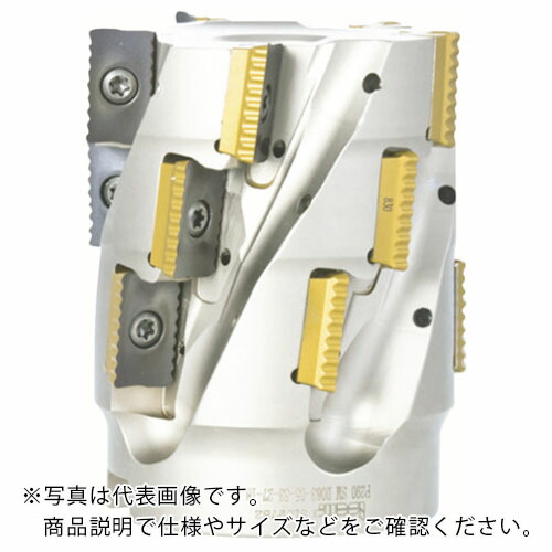 イスカル シュレッドミルP290 エンドミル P290 EPW 刃径40mm シャンク径40mm ( P290EPW D40-4-250-W40-18 )