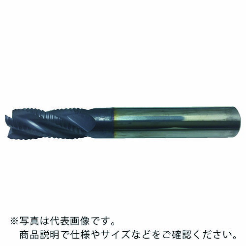 イスカル ソリッドシュレッド 超硬ソリッドエンドミル ERF 集積回路900 ( ERF100A22-4C10 集積回路900 )