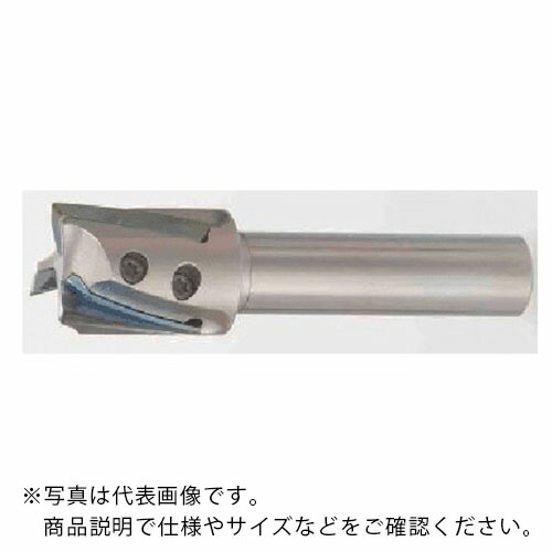 【SALE通貨価値】タンガロイ 変わり種・タック・圧砕機 柄付き添い人カッタ EPH ( EPH18R016M10.0-3 )
