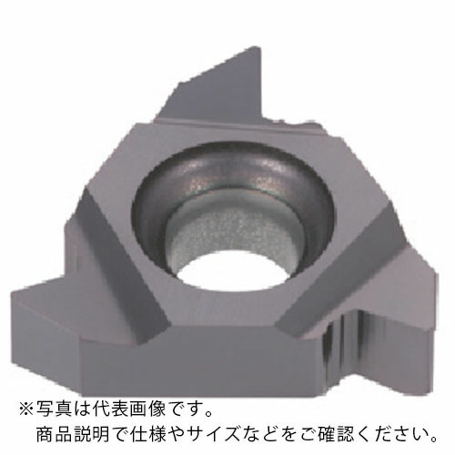 タンガロイ タング・スレッド 外径用60°ねじ差しいれる ER/L-60 T313V ( 16ELA60 T313V ) 【5個仕かける】 【製造業者取寄】 その他-花・ガーデン・DIY