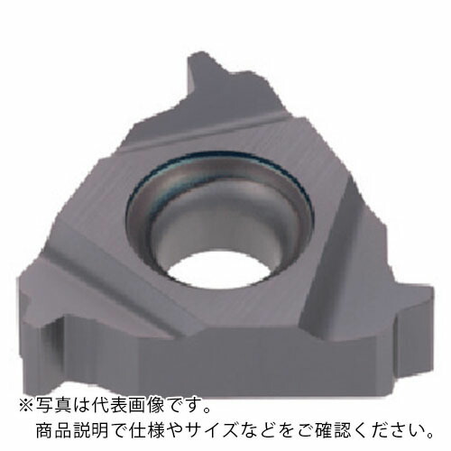 タンガロイ タング・スレッド 内径用30°台形ねじインサート IR-TR T313V ( 22IR40TR T313V ) 【5個セット】 【メーカー取寄】
