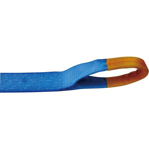 【SALE価格】TESAC ( テザック ) ラッシングベルト(ベルト荷締機)ラチェットバックル式アイタイプ ( R100E010-070A )