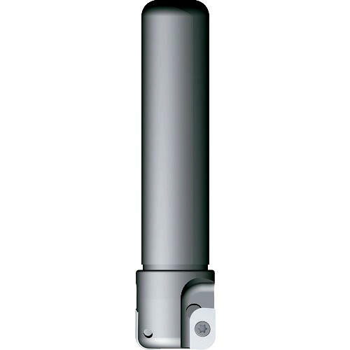 富士元 ( 富士元製造 ) フライス物の具 すみっこ シャンクφ25 製造径φ30 2.5R~5R ( SK25-30ALR ) 切断工具-DIY・工具-花・ガーデン・DIY