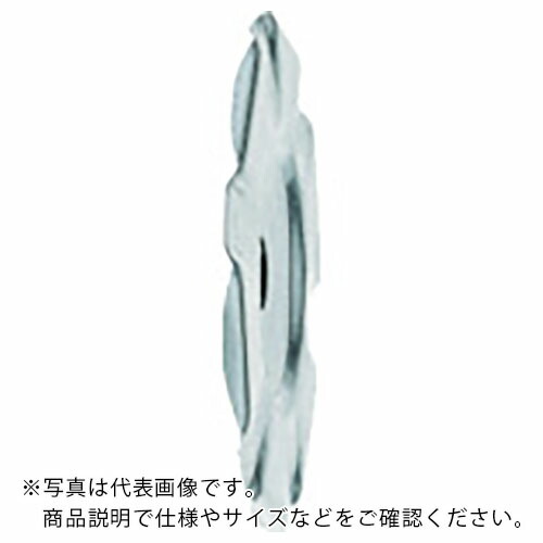 フィッシャー 外断熱用アンカー DHM 100 A2(250本入) ( 536265 )