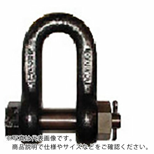 TAIYO ( 大洋製器工業 ) JISシャックル M級 ドブ SB-38(1007734) ( SB38G )