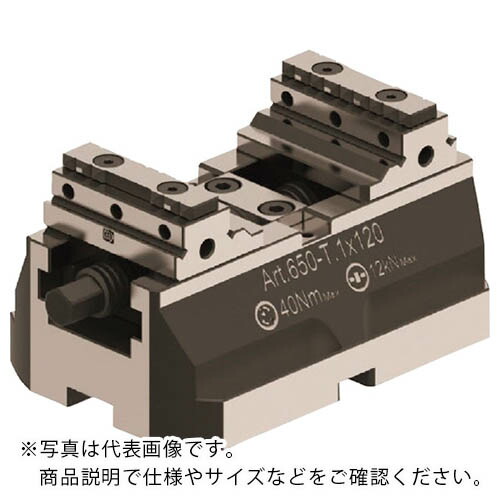 ジェラルディ コンパクトGバイス650 T1 50Wx80mm ( GR650T1X80 ) ジェラルディ社 【メーカー取寄】