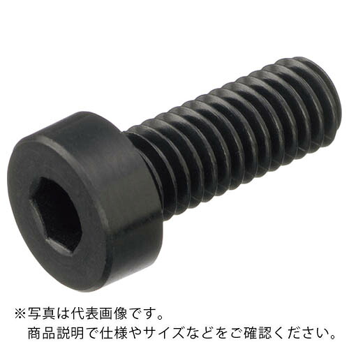 ケミカルスクリュー 六角穴付低頭ボルト (ガラス繊維強化ポリアミド RENY・全ねじ) M6-12 (500本入) ( RENY-BK/LC M6-12 ) 日本ケミカルスクリュー(株) 【メーカー取寄】