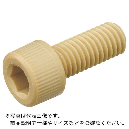 ケミカル推進器 ポリフェニレンサルファイド 六角穴付雄螺子 M6-25 (100本入) ( PPS/CB M6-25 ) 日本ケミカル推進器(株) 【製造業者取寄】 DIY・工具-花・ガーデン・DIY-その他