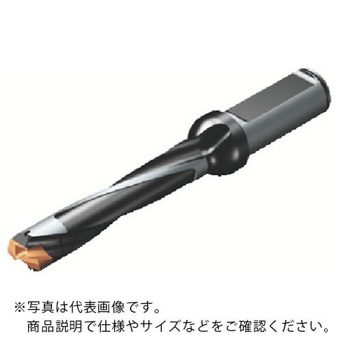 サンドビック コロドリル870 ヘッド交換式ドリル(446) ( 870-1100-8L16-5 (446) )