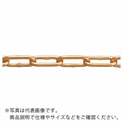 水本 ( 水本機械類製造所 ) 【要長さ特定化】銅チェーン店 CU-2.5 長さ・繋がり数特定化とり捨てる 21.1~22m ( CU-2.5-22C ) (株)水本機械類製造所 【製造業者取寄】 花・ガーデン・DIY-DIY・工具-その他