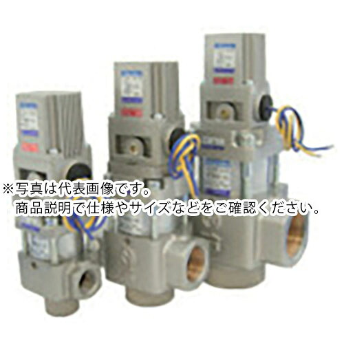 日本精器 2方向シリンダバルブ 25A AC100V ( BN-5BP21-25-E100 ) 日本精器(株) 【メーカー取寄】