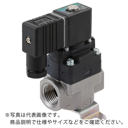 CKD 水用小っちゃい飛行士式電磁弁 ( FWD11-25A-D2G-AC200V ) 【製造会社取寄】