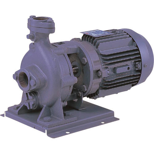 エバラ ( 荏原製作所 ) FVD型ブルテックスポンプ 50Hz 口径40mm 出力0.75kW ( 40FVD5.75B ) (株)荏原製作所 【メーカー取寄】