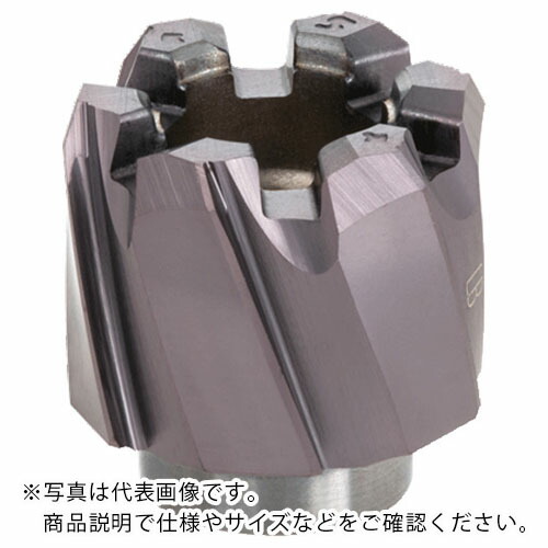 タンガロイ リーム・マイスター 貫通穴用左ねじれ溝付きリーマヘッド HRM-BLT AH725 ( HRM-25.000-BL-T8 )