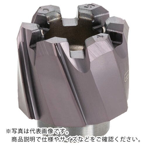 タンガロイ リーム・マイスター 貫通穴用左ねじれ溝付きリーマヘッド HRM-BLT AH725 ( HRM-16.000-BL-T6 )