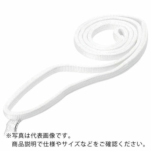 シライ ( 東レインターナショナル ) ベルトスリング ケミカルスリング C1N(JIS1トウキュウ) エンドレス形 75mm幅×長さ3.75m ( C1N-75X3.75 ) 【メーカー取寄】