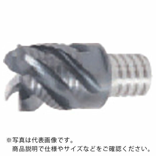 タンガロイ タング・マイスター用ヘッド 4枚刃 スクエアタイプ 波刃形状 VEE-R AH725 ( VEE250L22.0C50R06S15 AH725 )
