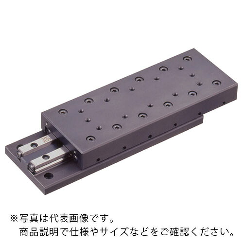 NB ( 日本ベアリング ) 横すべり通い路SVT6形長さ310 ( SVT6310 )
