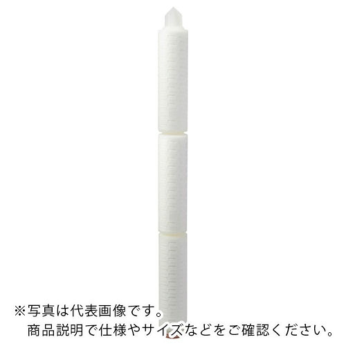 ３M ( スリーエム ) 濾す器水漉し 水漉しハウジング 1ZM・ サニタリータイプ BLAつづき物 濾す的確さ0.20μm 外径71.4mm×30in ( BLA020B03BA )