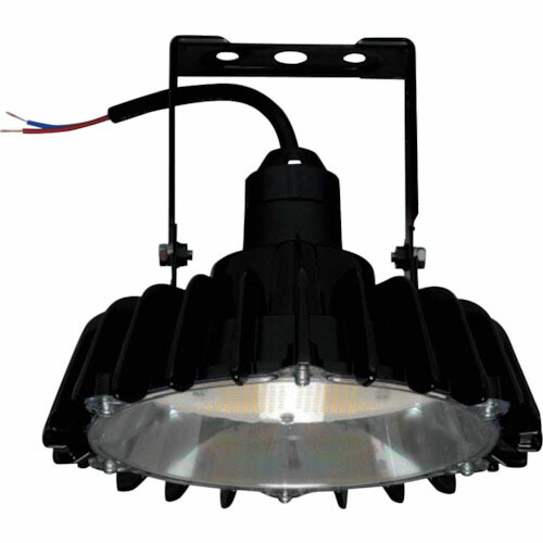 日立 高上昇限度用LED照明ランプ 腕印字機 押し並べて形 ( BME21CMNC1 ) 【製造会社取寄】