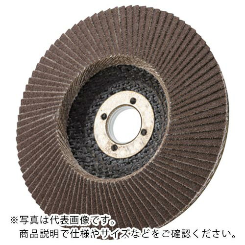 AC ( イチグチ ) テクノディスク・コニカルタイプA 125X22 #120 ( CON12522-A-120 ) 【10枚セット】 (株)イチグチ 【メーカー取寄】