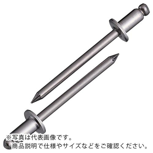エビ ( ロブテックス ) ブラインドリベット(ステンレス/ステンレス製) 6-2(1000本入) 箱入 ( NST62 )