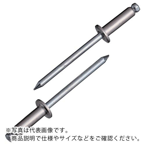 エビ ( ロブテックス ) ブラインドリベット(ステンレス/スティール製) 6-10(1000本入) 箱入 ( NSS610 )