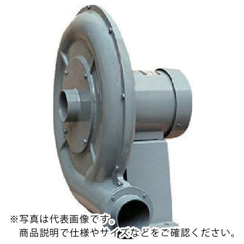 淀川電機 ( 淀川電機製作所 ) 電動送風機 高圧ターボ型(耐熱型) TDHシリーズ 三相200V (0.125kW) ( TDH2TL ) 【メーカー取寄】