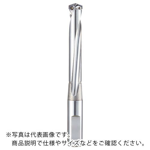 ダイジェット ( ダイジェット工業 ) 刃先取り替えっこ式せん孔機 TA-EZせん孔機(8D印字機) 当て嵌める差しわたし15.5~16.5 ( TEZD1600S20-XLBODY )