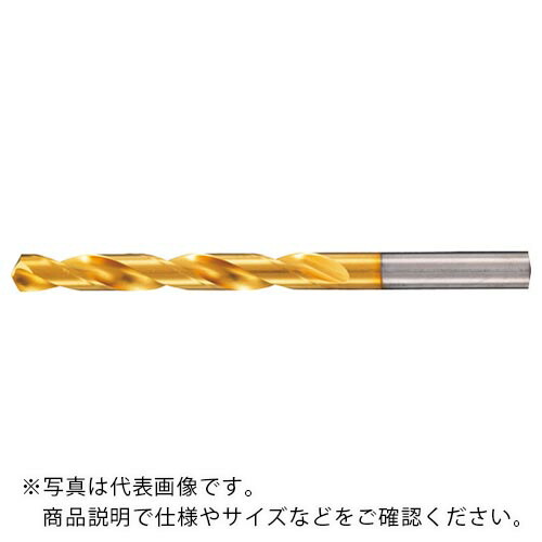 GUHRING ( グーリング ) ハイスドリル レギュラ TiNコート 1.25mm ( 651 1.250 ) 【10本セット】 グーリングジャパン(株) 7,342円