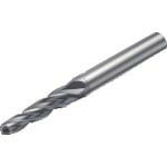 SANDVIK ( サンドビック ) コロミルプルーラ 超硬ソリッドエンドミル(730) 1620 ( R216.54-06040RAL40G 1620 (730) )