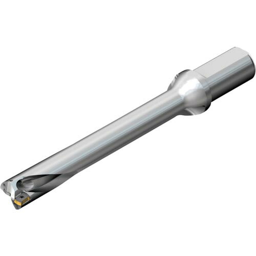 SANDVIK ( サンドビック ) コロドリルDS20刃先取り替えっこ式せん孔機(465) ( DS20-D3000L32-07 (465) )