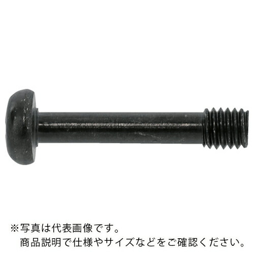 SUNCO ( サンコーインダストリー ) 三価ブラック(+)ナベ脱落防止ビス 5×20×5 (600本入) ( 00-00-J050-0050X0200-04 ) 13,970円