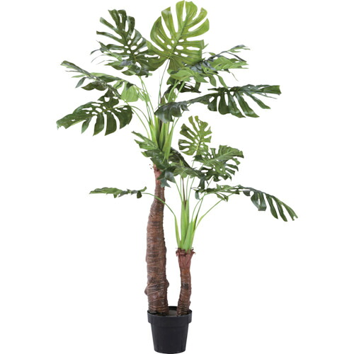 リレヤ ( 藤沢工業 ) 人工観葉植物 モンステラ(中) ( WD-03 ) 藤沢工業(株) 【メーカー取寄】