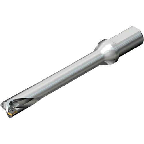 SANDVIK ( サンドビック ) コロドリルDS20刃先取り替えっこ式せん孔機(465) ( DS20-D2700L32-07 (465) )