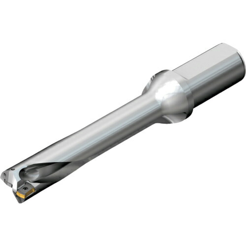 SANDVIK ( サンドビック ) コロドリルDS20刃先交換式ドリル(465) ( DS20-D3600L40-05 (465) )