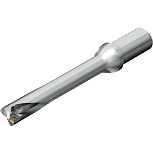 SANDVIK ( サンドビック ) コロドリルDS20刃先取り替えっこ式せん孔機(465) ( DS20-D1900L25-06 (465) )