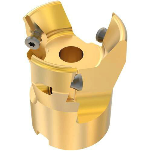 【SALE必要経費】セコ ( セコ・ツール ) フライス 金型用 截断機 ( R220.97-0050-V22.2A )