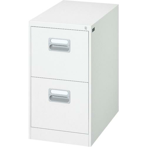 DAISHIN ( ダイシン製作 ) ファイリング収納家具A4印字機2段 白いこと色 ( A4-2.76W ) 【製造業者取寄】