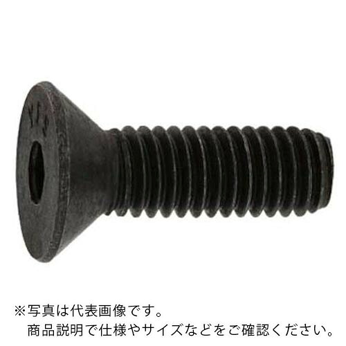 SUNCO ( サンコーインダストリー ) SUSサラCAP(UNC1/2-13X3”(1本入) ( A0-02-2030-8040-8300-00-1 ) サンコーインダストリー(株) 【メーカー取寄】