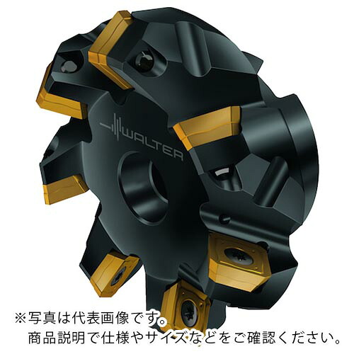 Walter ( ワルター ) 45°フェースミルカッター ( M4003-100-B32-09-4.5 )