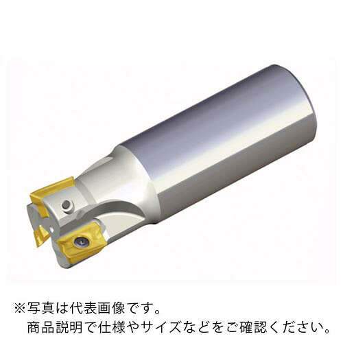 TAEGUTEC ( NTKカッティングツールズ ) ミーリングカッター チェイスミル ( TE90AP 225-24-17-L )