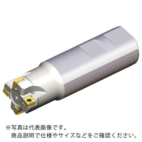 【SALE必要経費】TAEGUTEC ( NTKカッティングツールズ ) ミーリング截断機 チェイス8圧砕機 ( 8D-TE90-217-16-07-L110 )