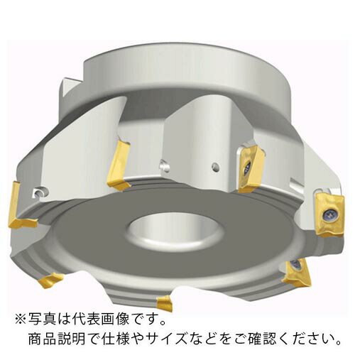 【SALE必要経費】TAEGUTEC ( NTKカッティングツールズ ) ミーリング截断機 チェイスミル ( TFM90AP 9125-38.1R-17 )