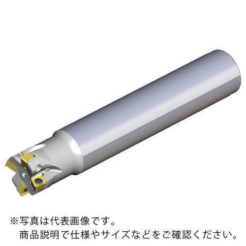 TAEGUTEC ( NTKカッティングツールズ ) ミーリング裁断師 チェイス4圧砕機 ( 4N TE90-108-08-04 )