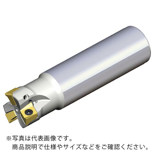 TAEGUTEC ( NTKカッティングツールズ ) ミーリングカッター チェイス4ミル ( 4N TE90-332-32-09-L250 )