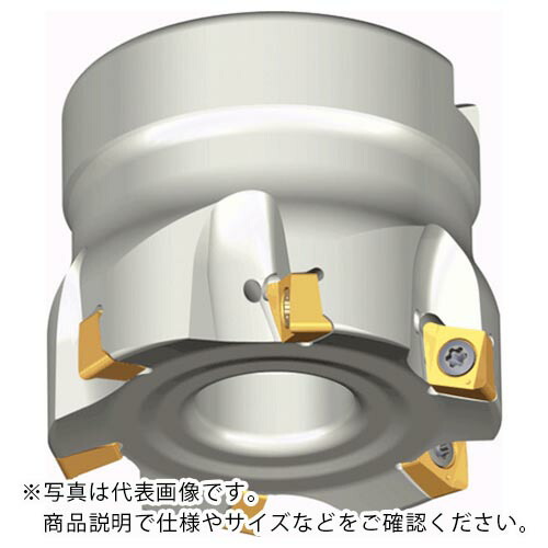 TAEGUTEC ( NTKカッティングツールズ ) ミーリングカッター チェイス4ミル ( 4N TF90-540-16R-06 )
