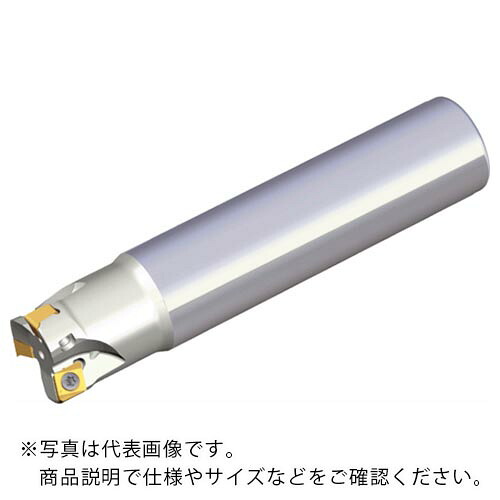 【SALE通貨価値】TAEGUTEC ( NTKカッティングツールズ ) ミーリング裁断師 チェイス4圧砕機 ( 4N TE90-218-16-06-L150 )
